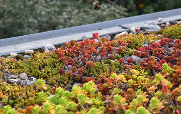 the cost of Rosedale Abbey green roof installation